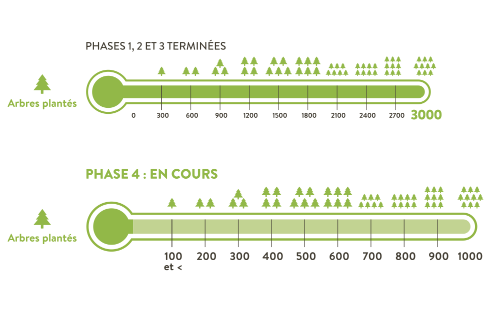 Compensation-Carbone-CO2-Traditours